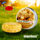 GingerBoost™ - Barra de champú de jengibre para el crecimiento del cabello -